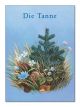 Die Tanne