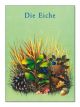 Die Eiche